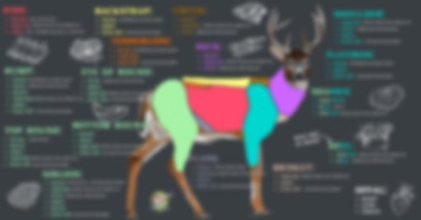 Venison cuts cheat sheet