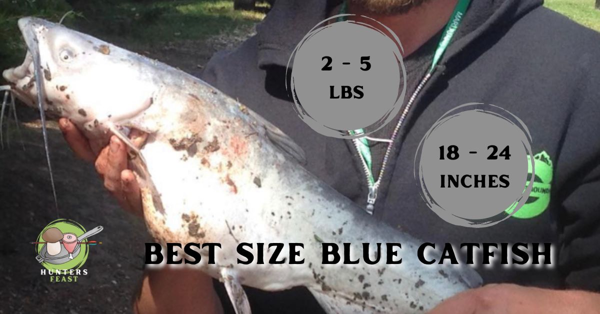Are Blue Catfish Good to Eat?