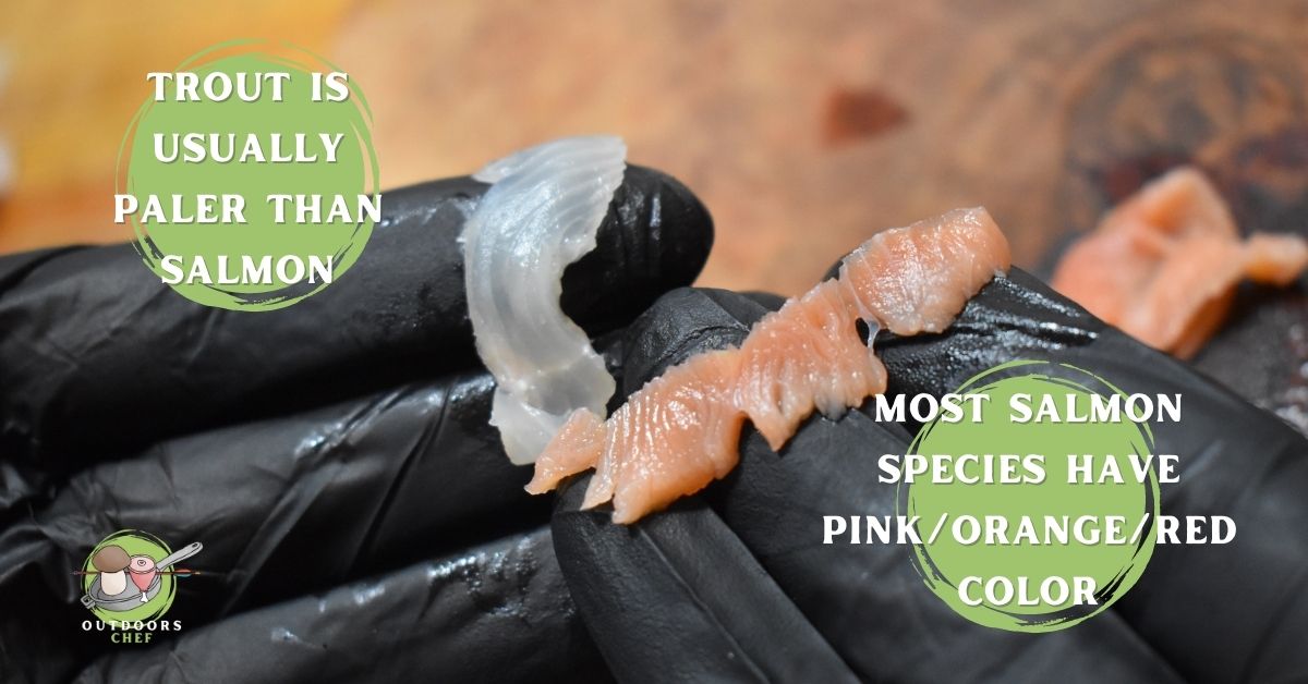 Does Trout Taste Like Salmon