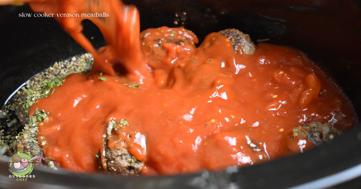 Easy Venison Slow Cooker Recipes