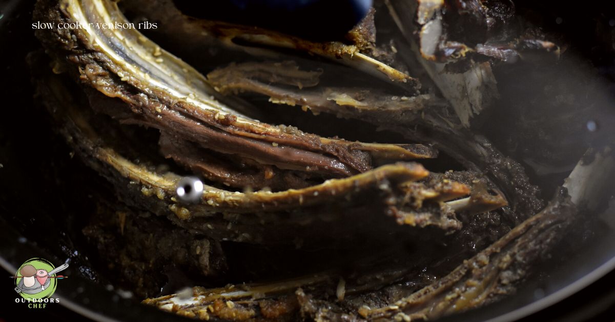 Easy Venison Slow Cooker Recipes