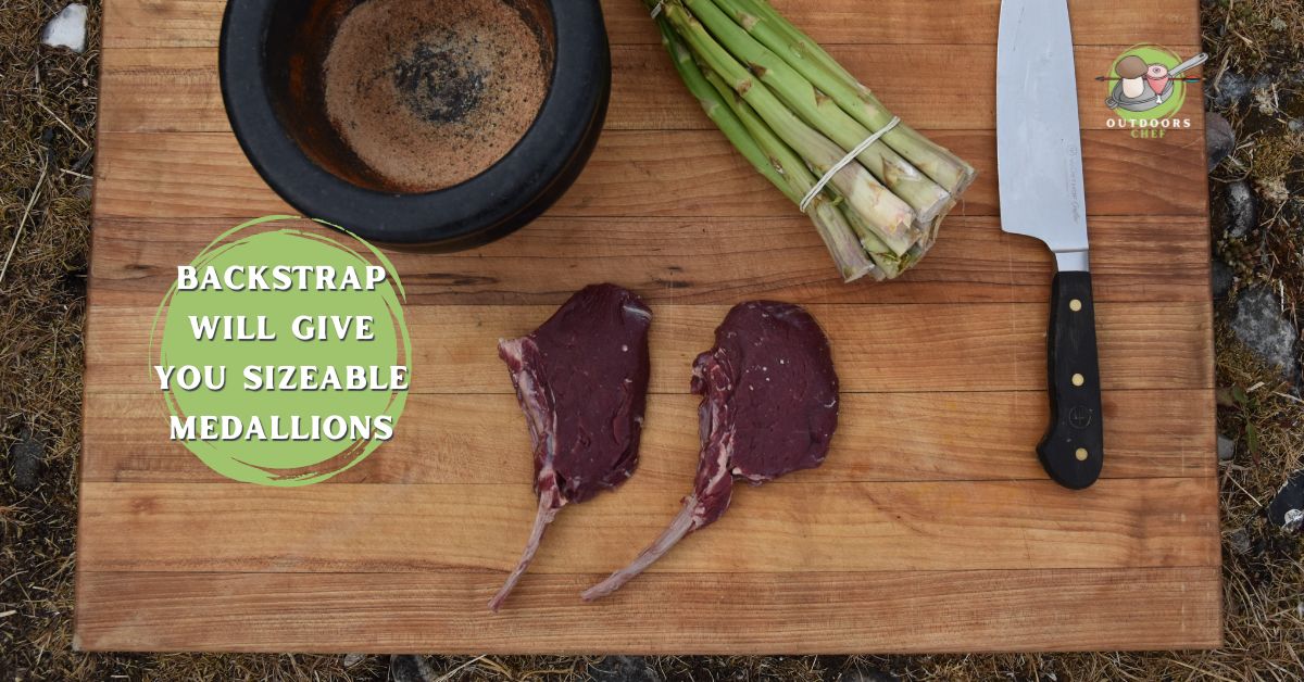 Grilled Venison Steak