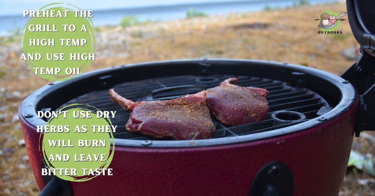 Grilled Venison Steak