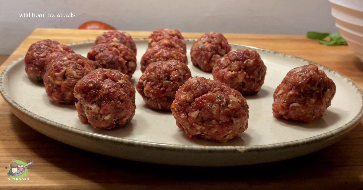 Ground Wild Boar Recipes