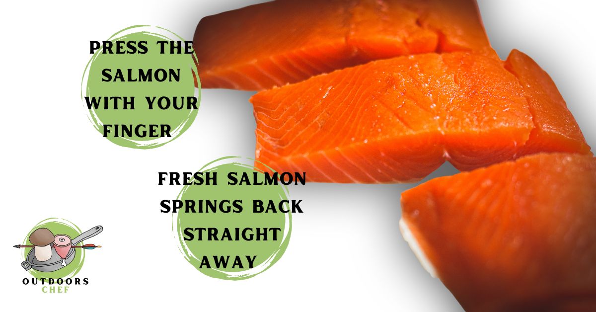 Salmon Smells Fishy But Not Expired