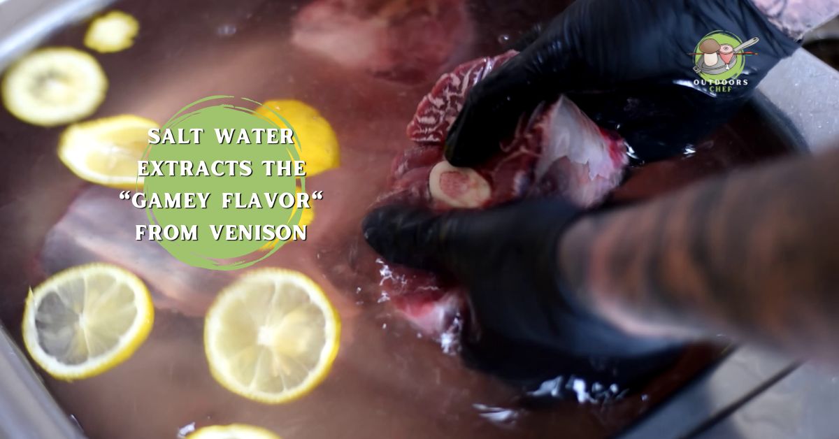 Soaking Venison in Salt Water