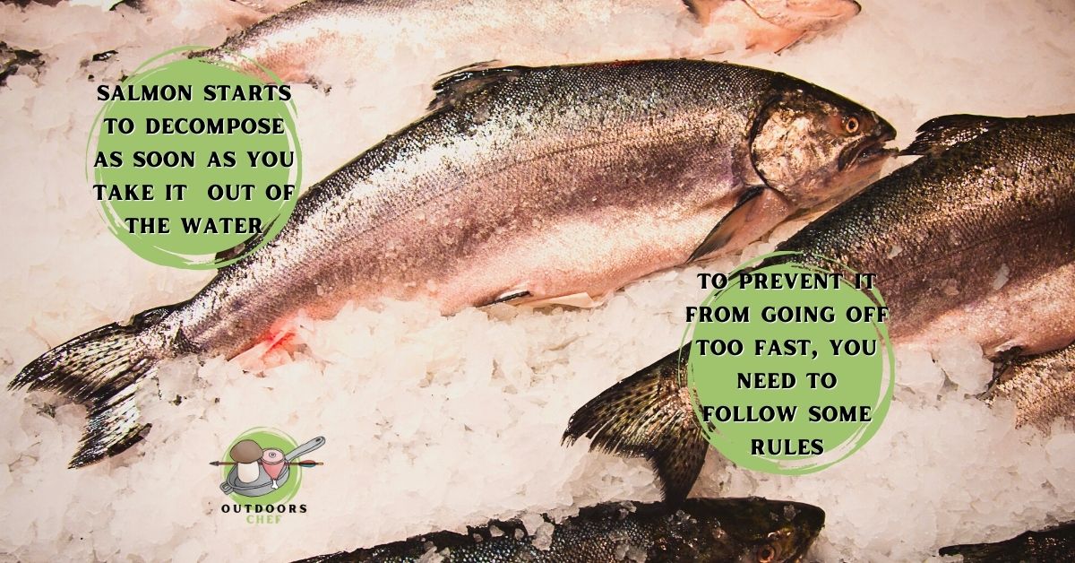 Salmon Smells Fishy But Not Expired