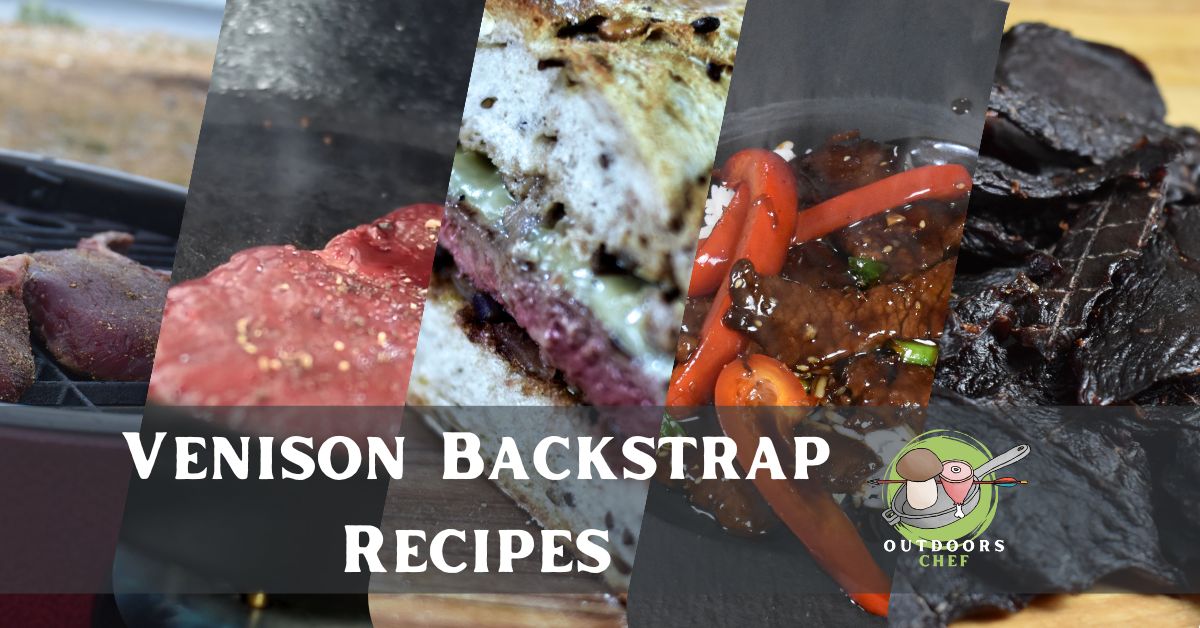 Venison Backstrap Recipes