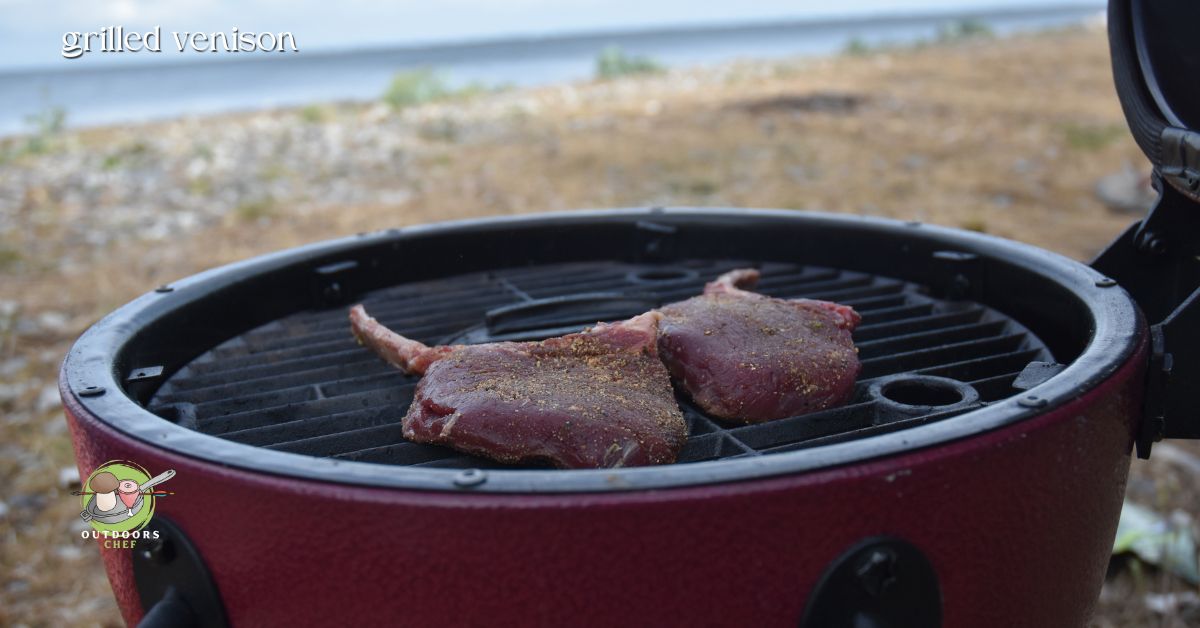 Grilled Venison Steak