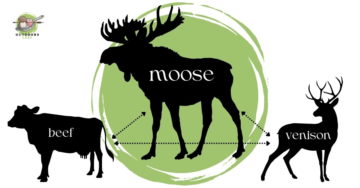 What Does Moose Meat Taste Like
