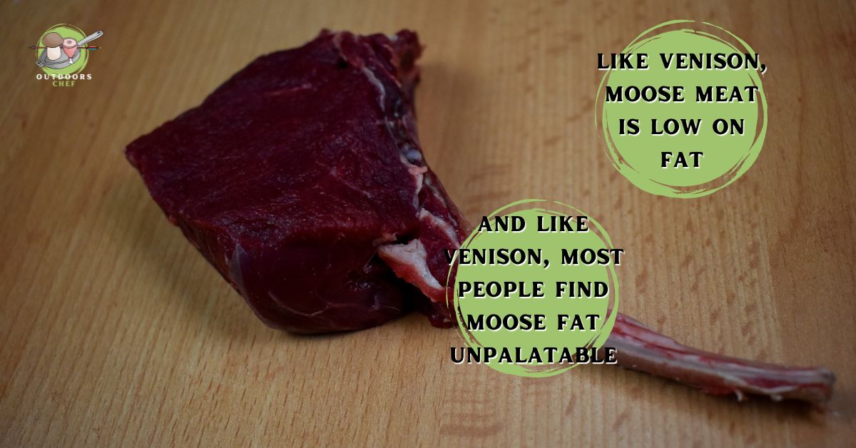 What Does Moose Meat Taste Like