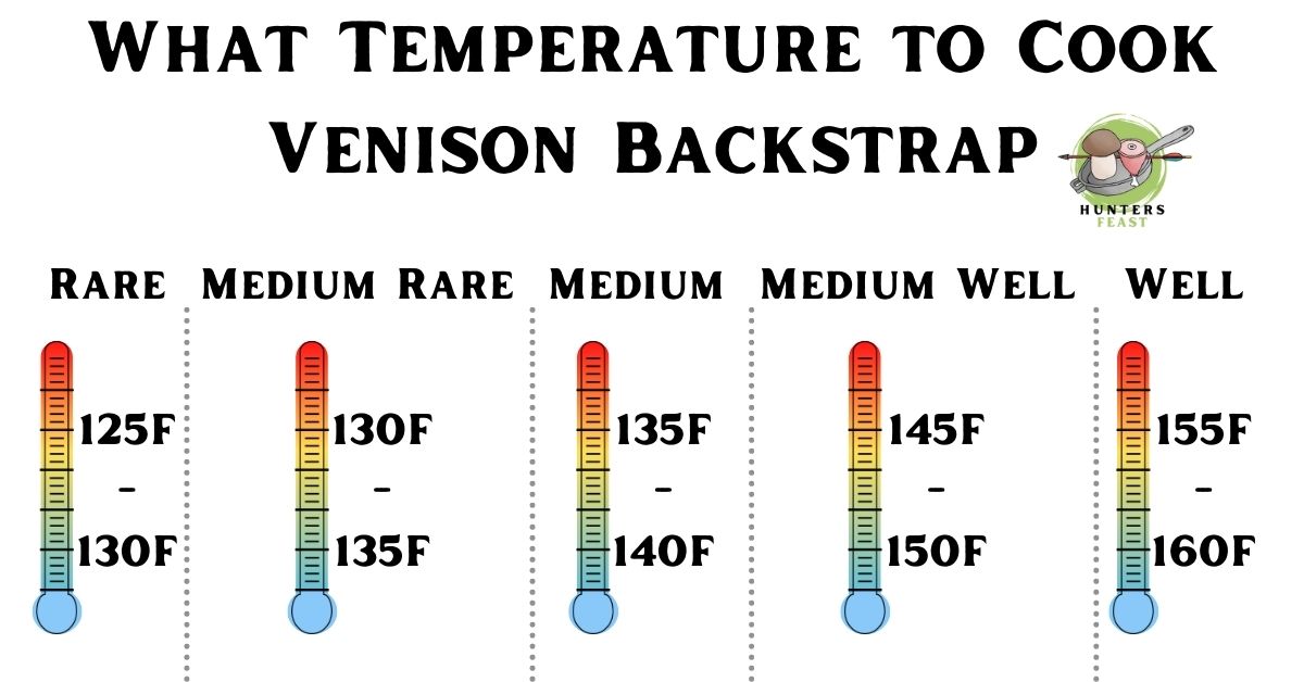 What Temperature to Cook Venison Backstrap