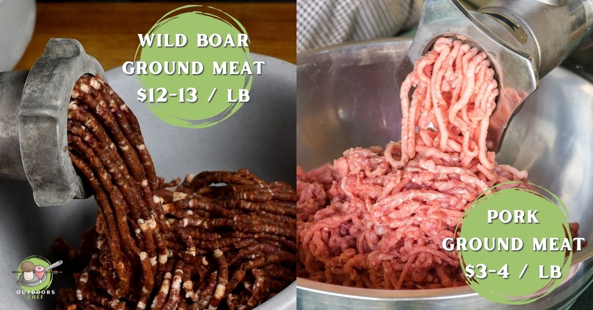 Wild Boar Meat Vs Domestic Pork